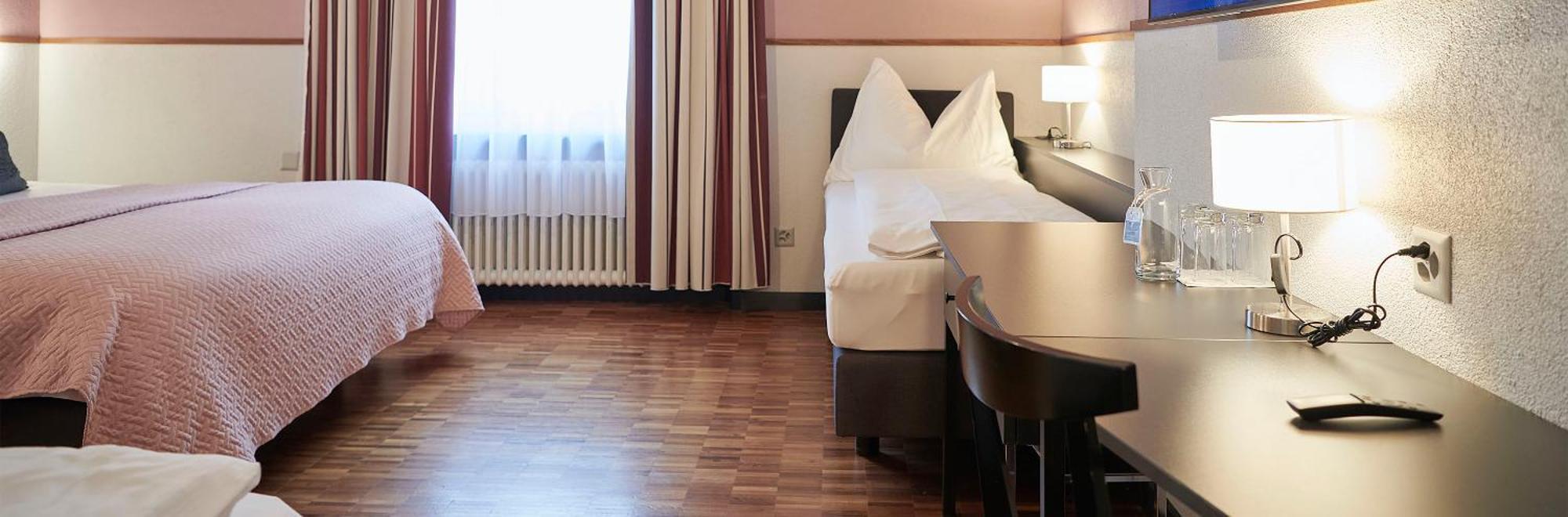 Hottingen Hotel Zurique